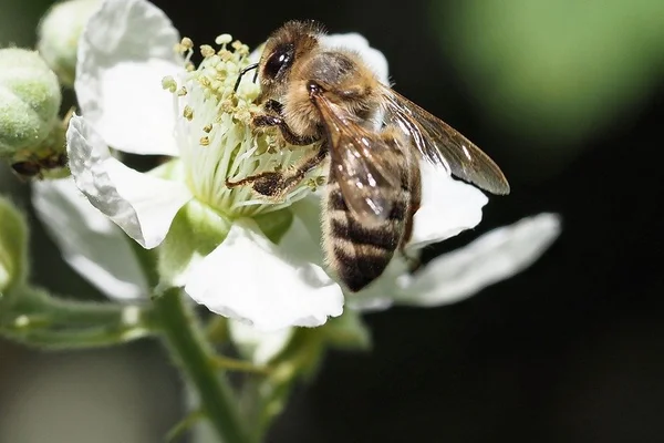 问鼎娱乐真人娱乐